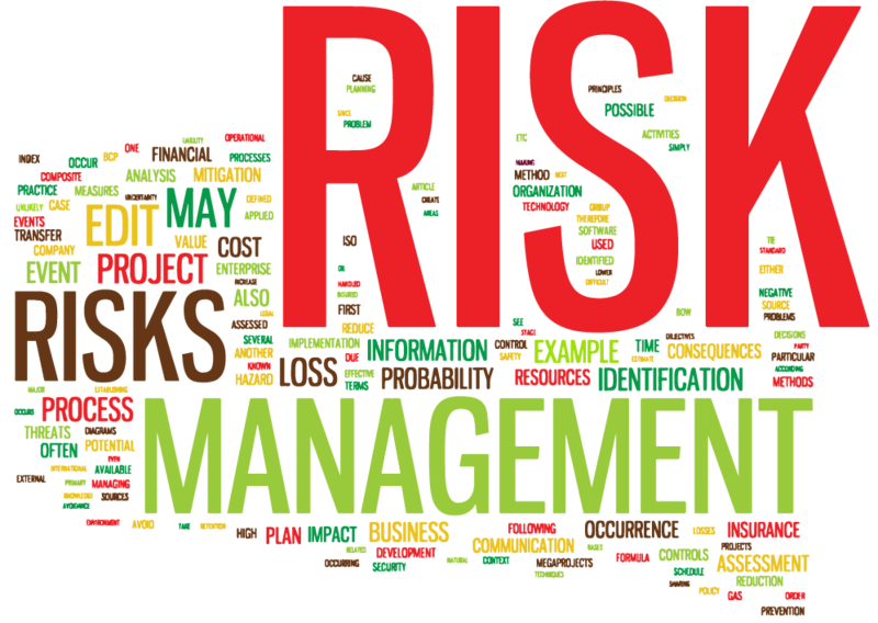 Risk management word cloud